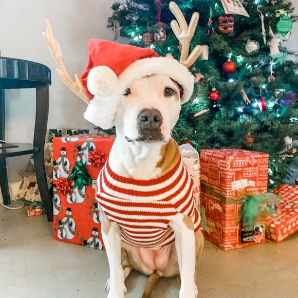 Meet your Posher, Tegan - Picture 10 of 13